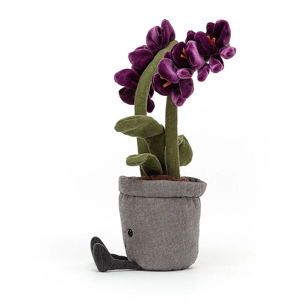 A2OR Amusable Purple Orchid